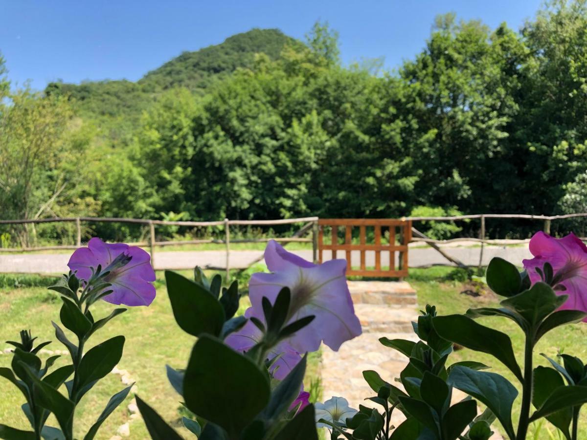 Orahovo Cottages Virpazar Luaran gambar